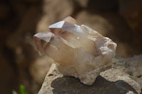 Natural Red Hematoid Quartz Specimens x 24 From Karoi, Zimbabwe