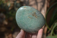 Polished Blue Amazonite Standing Free Forms  x 3 From Ambositra, Madagascar