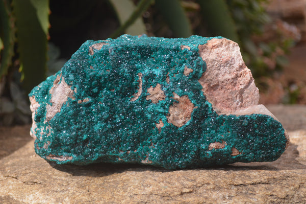 Natural Extra Large Emerald Dioptase Dolomite Specimen  x 1 From Likasi, Congo