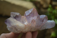 Natural Jacaranda Amethyst Clusters x 6 From Mumbwa, Zambia