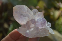 Natural Jacaranda Amethyst Clusters x 6 From Mumbwa, Zambia