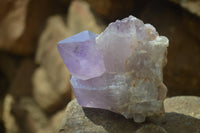 Natural Jacaranda Amethyst Clusters x 6 From Mumbwa, Zambia