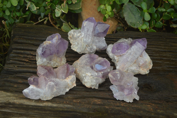 Natural Jacaranda Amethyst Clusters x 6 From Mumbwa, Zambia