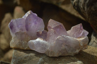 Natural Jacaranda Amethyst Clusters x 6 From Mumbwa, Zambia