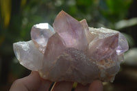 Natural Jacaranda Amethyst Clusters x 6 From Mumbwa, Zambia