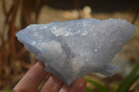 Natural Etched Blue Chalcedony Specimens  x 3 From Malawi