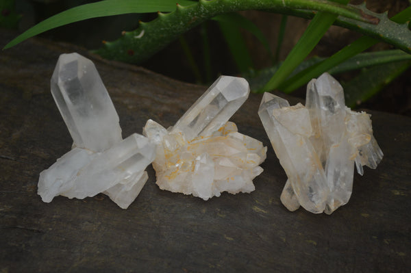 Natural Mini Quartz Clusters  x 35 From Madagascar