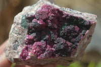 Natural Pink Salrose Cobaltion Dolomite Specimens x 6 From Kakanda, Congo