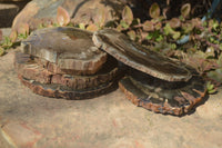 Polished Petrified Wood Slices x 6 From Gokwe, Zimbabwe