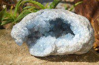 Natural Blue Celestite Geode Specimen  x 1 From Sakoany, Madagascar