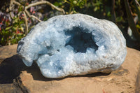 Natural Blue Celestite Geode Specimen  x 1 From Sakoany, Madagascar