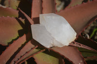 Natural Castle Quartz Crystals  x 6 From Madagascar