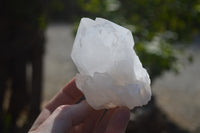 Natural Castle Quartz Crystals  x 6 From Madagascar