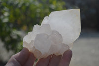 Natural Castle Quartz Crystals  x 6 From Madagascar