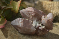 Natural Red Hematoid Quartz Specimens x 2 From Karoi, Zimbabwe