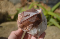 Natural Red Hematoid Quartz Specimens x 2 From Karoi, Zimbabwe