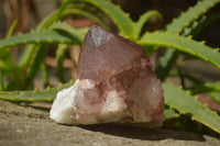 Natural Red Hematoid Quartz Specimens x 2 From Karoi, Zimbabwe