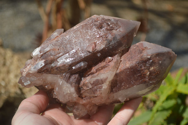 Natural Red Hematoid Quartz Specimens x 2 From Karoi, Zimbabwe