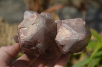 Natural Red Hematoid Quartz Specimens x 2 From Karoi, Zimbabwe