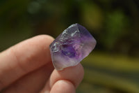 Natural Royal Zulu Window Amethyst Crystals x 35 From Zululand, South Africa