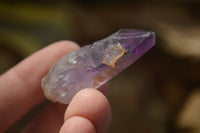 Natural Royal Zulu Window Amethyst Crystals x 35 From Zululand, South Africa