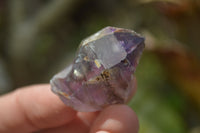 Natural Royal Zulu Window Amethyst Crystals x 35 From Zululand, South Africa