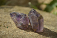 Natural Royal Zulu Window Amethyst Crystals x 35 From Zululand, South Africa