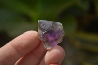 Natural Royal Zulu Window Amethyst Crystals x 35 From Zululand, South Africa