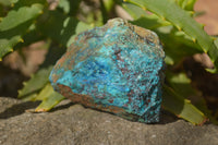 Natural Shattuckite & Chrysocolla Rough Pieces x 9 From Kaokoveld, Namibia