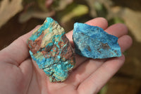 Natural Shattuckite & Chrysocolla Rough Pieces x 9 From Kaokoveld, Namibia