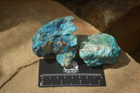 Natural Shattuckite & Chrysocolla Rough Pieces x 9 From Kaokoveld, Namibia