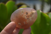 Polished River Agate Nodules  x 24 From Zimbabwe