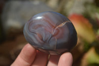 Polished River Agate Nodules  x 24 From Zimbabwe