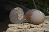 Polished River Agate Nodules  x 24 From Zimbabwe