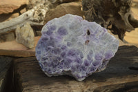 Polished Extra Large Amethyst Slice x 1 From Zambia