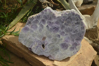 Polished Extra Large Amethyst Slice x 1 From Zambia