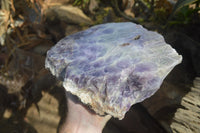 Polished Extra Large Amethyst Slice x 1 From Zambia