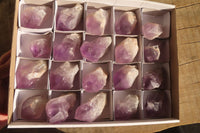 Polished Jacaranda Amethyst Crystals x 12 From Zambia