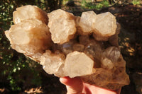 Natural Cascading Smokey Quartz Cluster x 1 From Luena, Congo