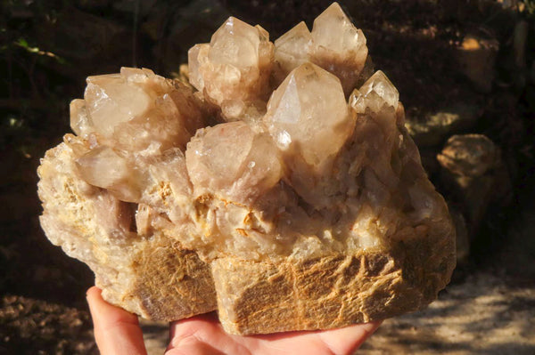 Natural Cascading Smokey Quartz Cluster x 1 From Luena, Congo