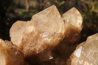 Natural Cascading Smokey Quartz Cluster x 1 From Luena, Congo