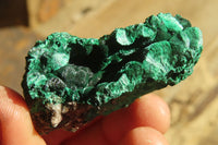 Natural Chatoyant Silky Malachite Specimens  x 12 From Kasompe, Congo