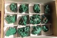 Natural Chatoyant Silky Malachite Specimens  x 12 From Kasompe, Congo