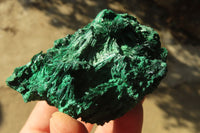 Natural Chatoyant Silky Malachite Specimens  x 12 From Kasompe, Congo