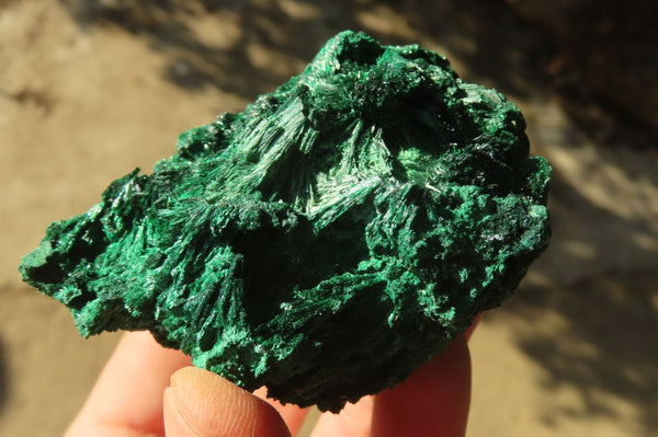 Natural Chatoyant Silky Malachite Specimens  x 12 From Kasompe, Congo