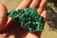 Natural Chatoyant Silky Malachite Specimens  x 12 From Kasompe, Congo