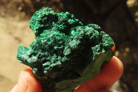 Natural Chatoyant Silky Malachite Specimens  x 12 From Kasompe, Congo