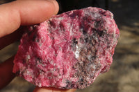 Natural Rough Rhodonite Specimens  x 6 From Zimbabwe