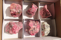 Natural Rough Rhodonite Specimens  x 6 From Zimbabwe