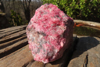 Natural Rough Rhodonite Specimens  x 6 From Zimbabwe